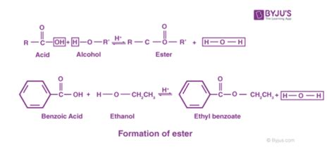 Ester - Definition, Structure, Esterification along with Properties & Uses