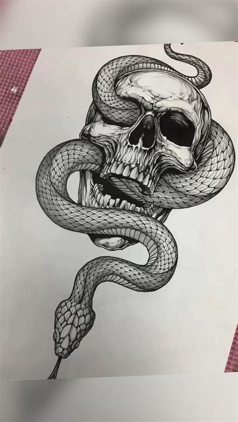 Snake Skull Drawing