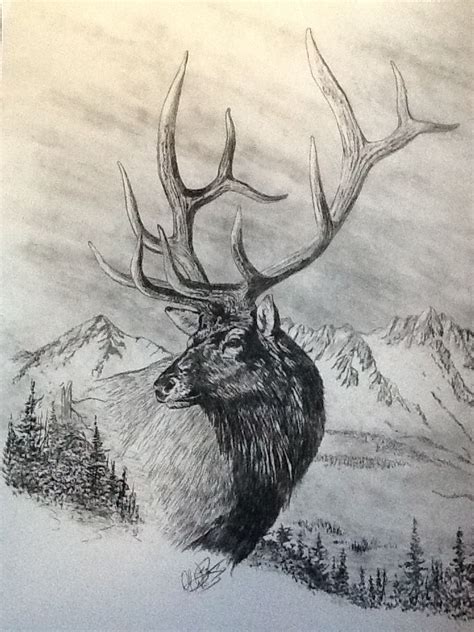 Elk charcoal sketch | Pencil drawings of animals, Animal drawings, Elk ...