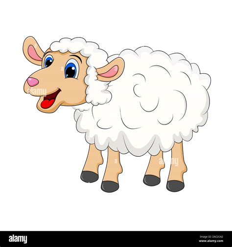 Sheep Cartoon