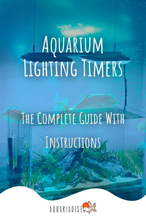 Aquarium Lighting Timers: The Most Reliable Ones Available