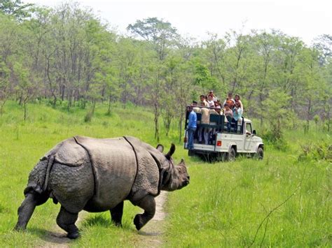 Chitwan National Park Wildlife Safari 3 days,Chitwan National Park