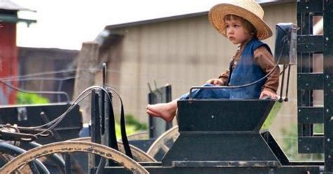 Where time stands still: The Swartzentruber Amish | Ohio's Amish Country