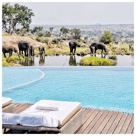 Four Seasons Safari Lodge Serengeti, Tanzania Wow…amazing! | Safari ...