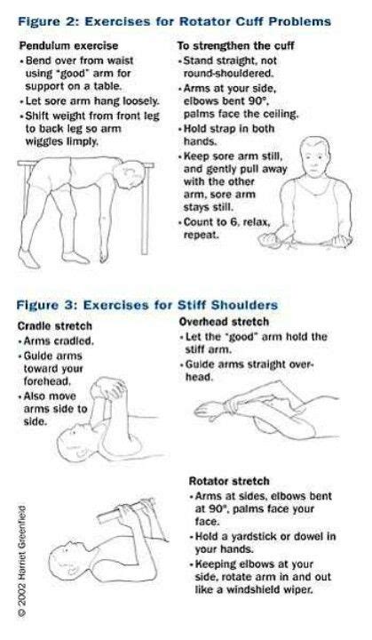 17 Best images about Rotator Cuff Exercises on Pinterest | Physical ...