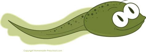 Tadpole Clip Art - Cliparts.co