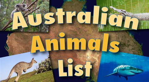 Australian Animals List With Pictures & Facts: Discover Australia's ...