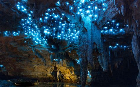 Waitomo Glowworm Caves, New Zealand » Geology Science