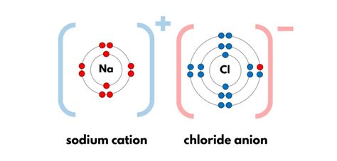 Cation And Anion