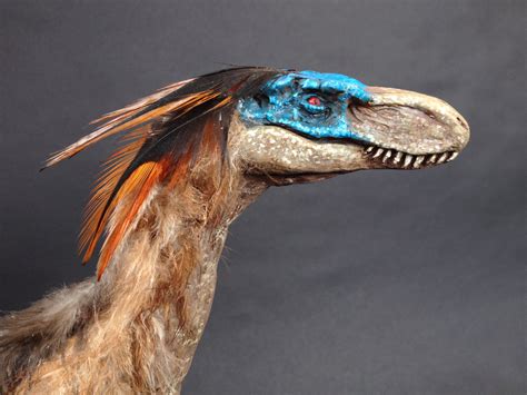 Velociraptor Mongoliensis sculpture (with real feathers!!) — Stan ...