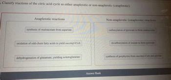 Answered: yelè as either anaplerotic or… | bartleby