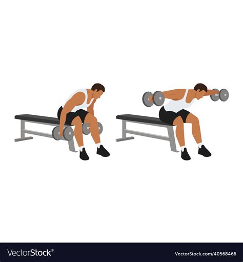 Man doing dumbbell bent over reverse flyes Vector Image