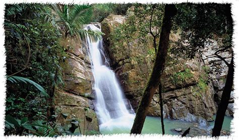 Río Grande, Puerto Rico – El Yunque City | BoricuaOnLine.com