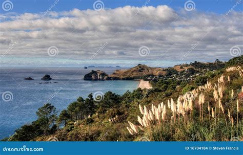 Coromandel Coast stock photo. Image of rural, peninsula - 16704184