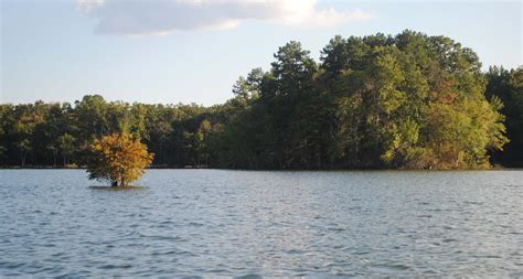 Bass are biting at North Carolina’s High Rock Lake