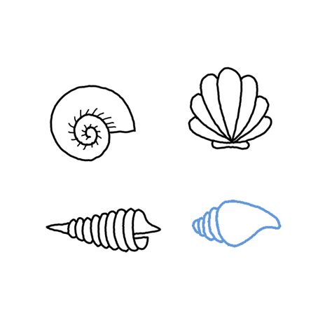 How to Draw a Seashell - Step by Step Easy Drawing Guides - Drawing Howtos