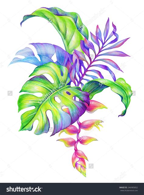 Jungle Plants Drawing at GetDrawings | Free download