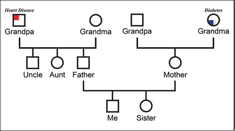 3 Generation Genogram Template For Your Needs