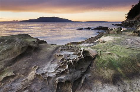 Larrabee State Park Washington Photograph by Alan Majchrowicz