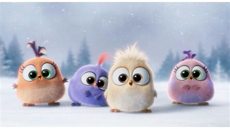 The Angry Birds Movie Wallpapers - Wallpaper Cave