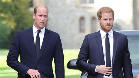 Prince William briefed the press about Prince Harry, author claims in ...