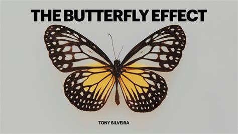 The Butterfly effect - by Tony Silveira