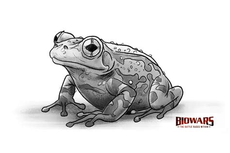 Frog Drawing Guide: 5 Simple Steps [Video + Illustrations] - BioWars