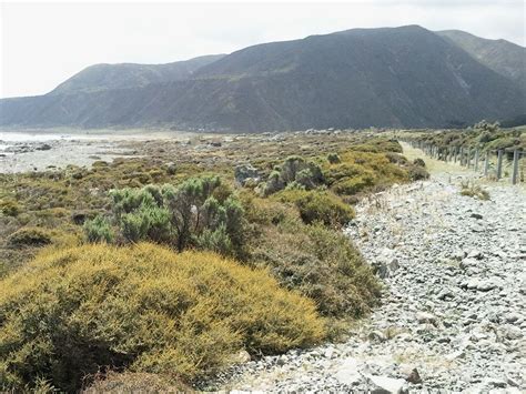 The Best Hiking Trails in and Around Wellington | Hiking new zealand ...