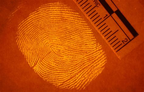 😂 How are fingerprints discovered at crime scenes. Fingerprint and ...