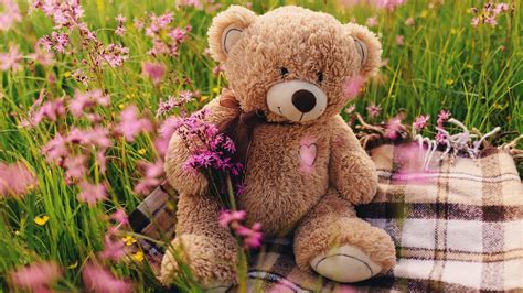 Teddy Bear Hd Wallpaper For Laptop : Collection Of Hd Wallpaper Life ...