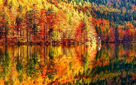 1366x768px | free download | HD wallpaper: autumn images for ...