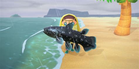 How to Find (& Catch) The Coelacanth in Animal Crossing