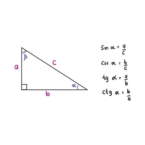 Gracioso Debe Fontanero formulas para calcular seno coseno y tangente ...