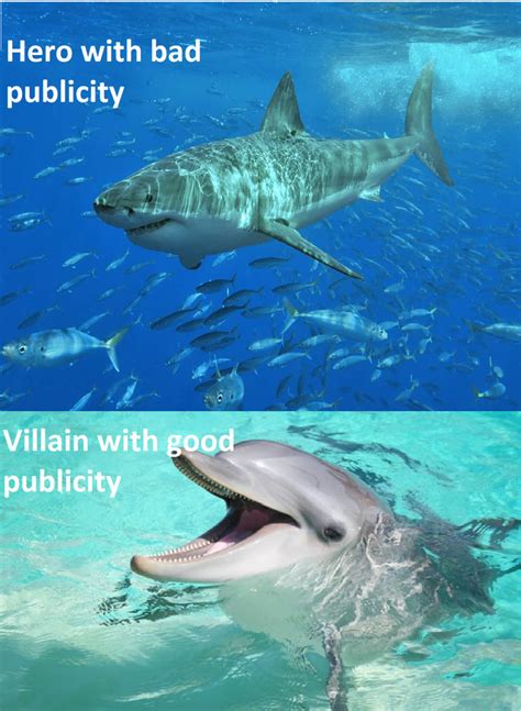 Shark vs Dolphin meme by lazejovanov on DeviantArt