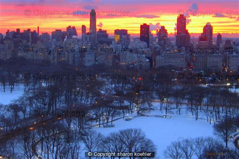 central park sunrise in snow - photo canvas