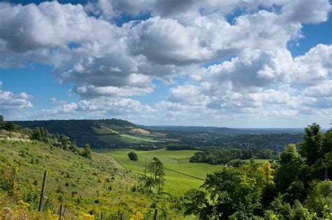 Walk: Box Hill, Surrey | Landscape photos, Dorking, Surrey