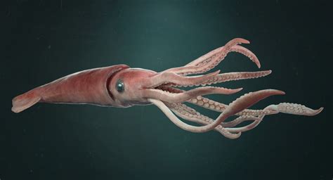 Jo-Anne's Ramblings: Indestructible Creatures/ Giant Squid