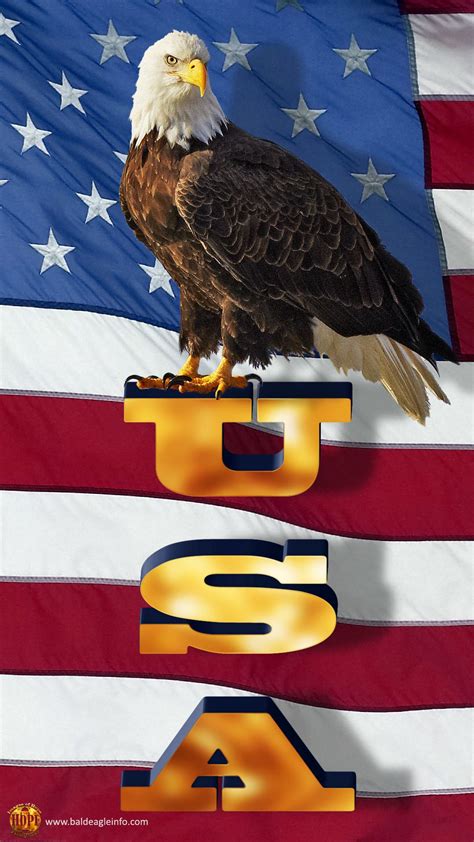 American Flag With Eagle Wallpaper (70+ images) | Patriotic pictures ...