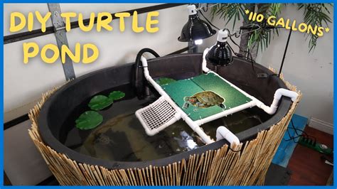 Indoor Turtle Pond Kits | Hot Sex Picture