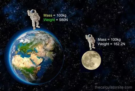 Weight Study Guide - Inspirit