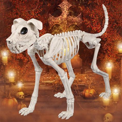 Spooktacular Big Size Dog Skeleton: Perfect for Halloween Decor