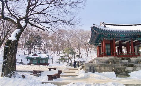 Embracing Snow At The Secret Garden Of Changdeokgung Palace - Zafigo