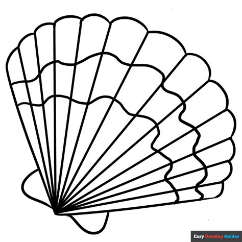 Seashell Coloring Page | Easy Drawing Guides