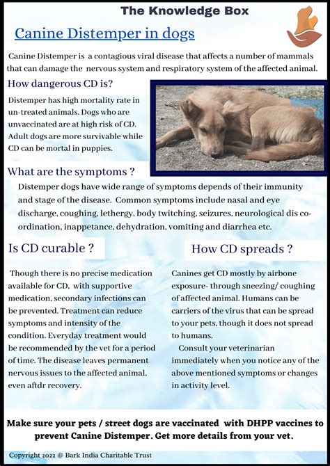 How To Cure Canine Distemper - Aimsnow7