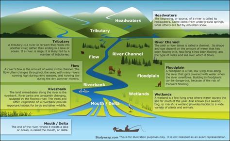 Drainage System - Types of Drainage Patterns - Study Wrap