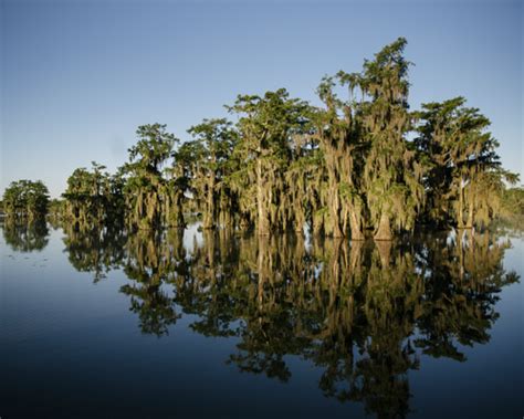 Atchafalaya National Heritage Area - cajuncoast.com