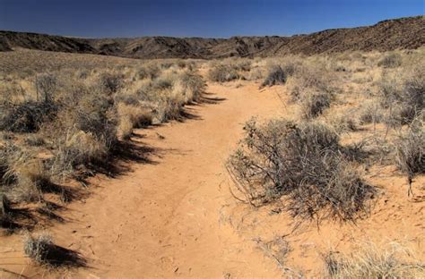 9 Beautiful Hiking Trails in Albuquerque for All Levels (+ Map)