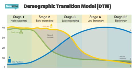 30 Demographic Transition Model Worksheet - support worksheet