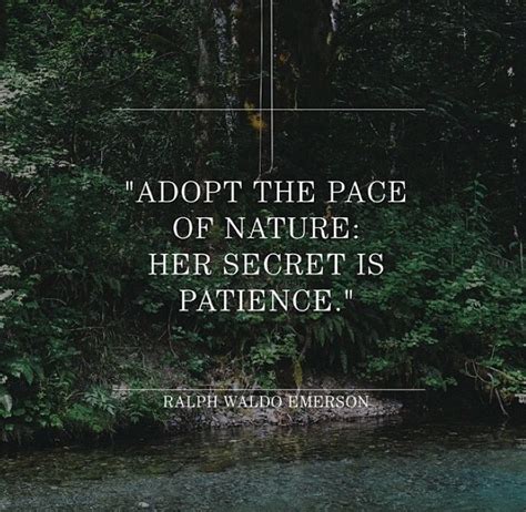 Ralph Waldo Emerson Nature Quotes - ShortQuotes.cc