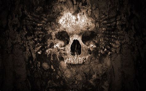 🔥 Download Skull Wallpaper Image by @cosborn | Free 3d Skull Wallpapers ...